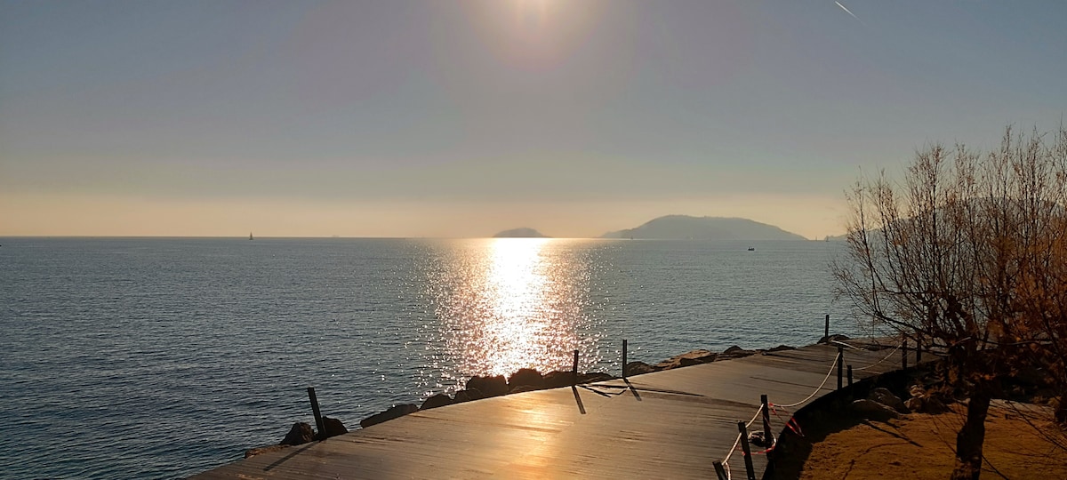 A calm seascape is captured with the sun reflecting off gentle waves, creating a shimmering pathway on the water. The view includes distant islands and a clear sky, framed by a shoreline path leading along the coast. Minimal vegetation is present in the foreground.
