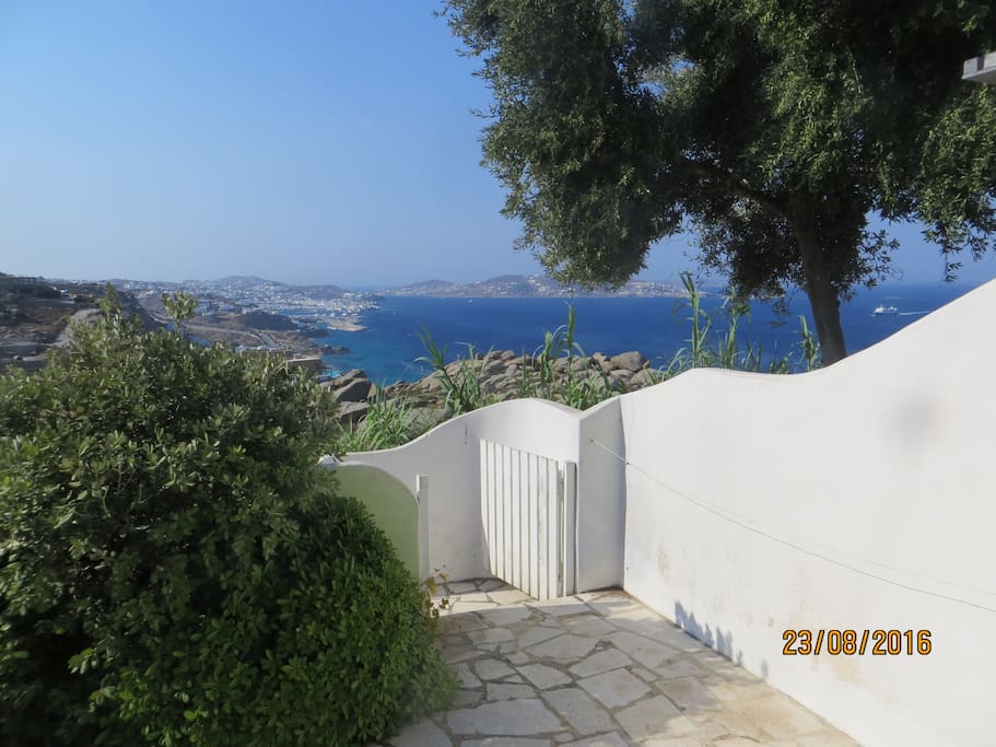 Vue sur le vieux port de Mykonos