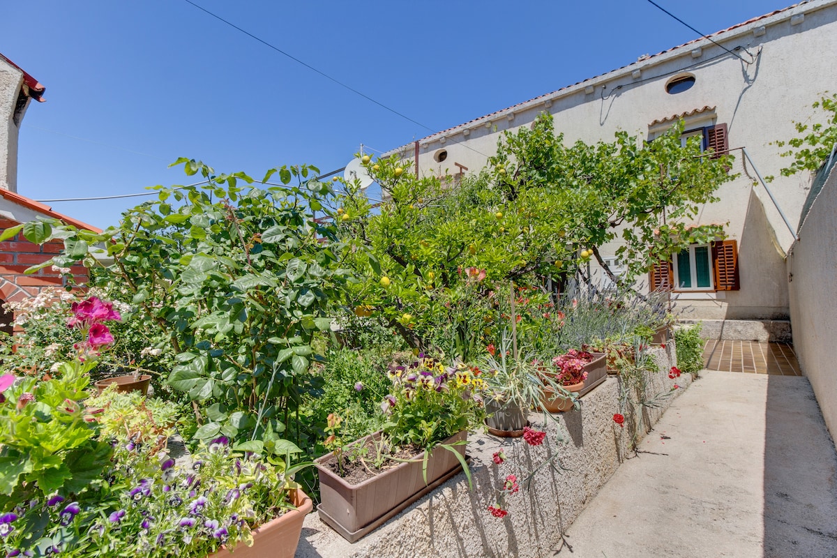 A garden area is filled with a variety of flowering plants and greenery, offering a vibrant display of colors. The space is designed with plant boxes along a pathway, leading to a charming building in the background. Bright blue skies add to the serene setting.