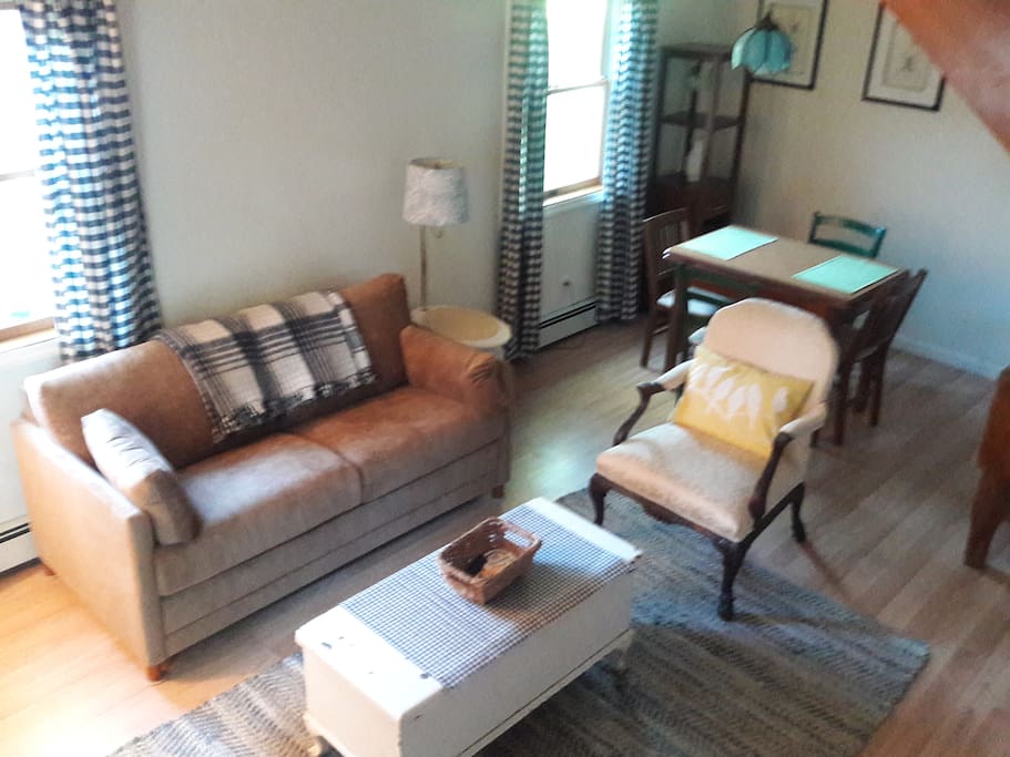 Sleeper Sofa