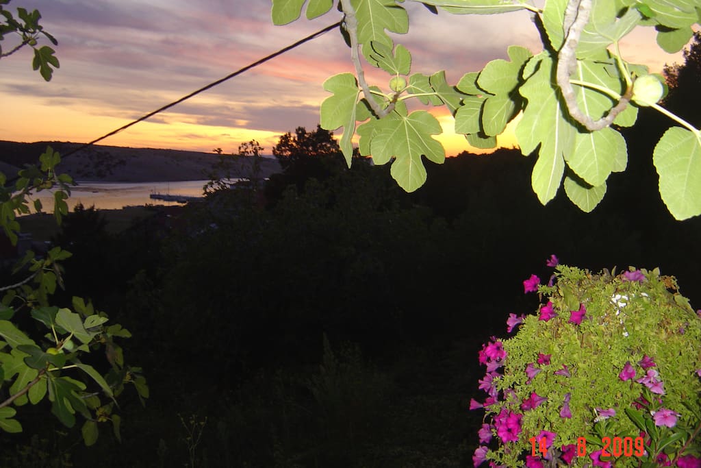 Beautiful Sunset View from the Backyard