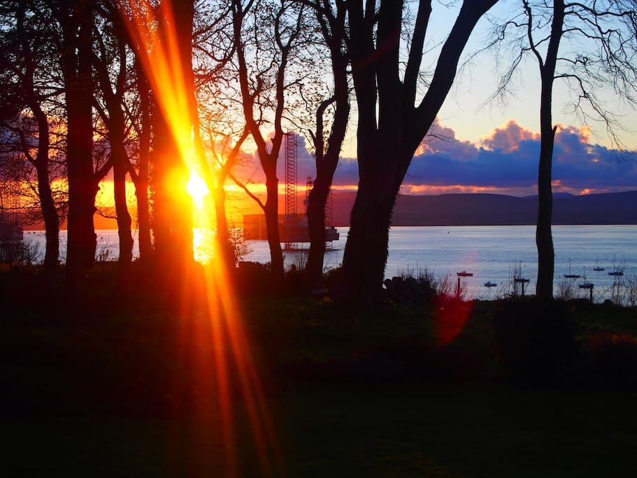 Sunset in the back garden