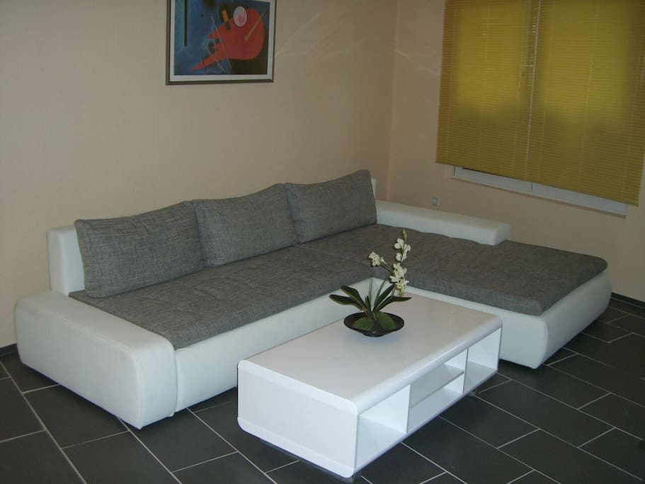 wide sofa (sleeping possibility for the third person)