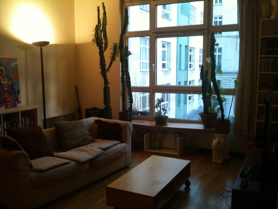 Le salon de l'appartement.