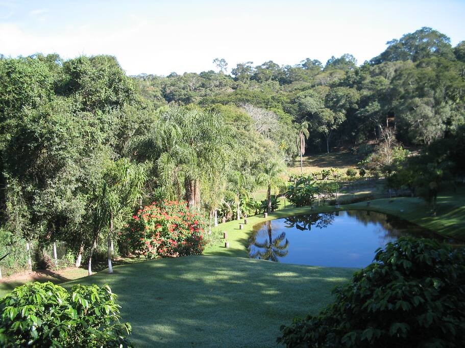 Vista do Lago natural