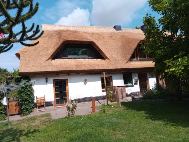 Strandkorb Aus Paletten Selbst De