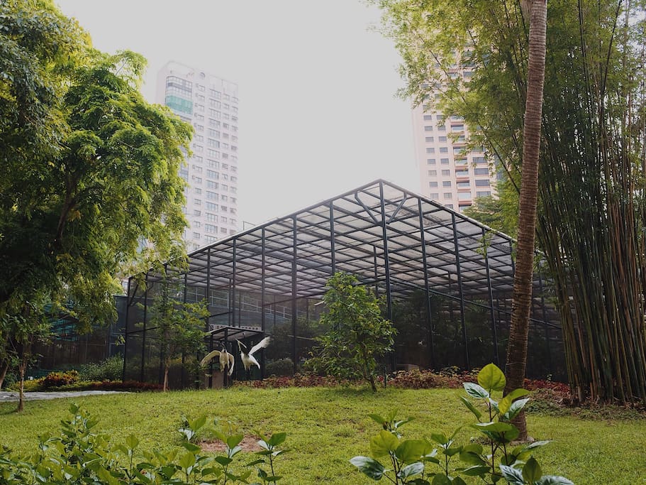 兵头花园 香港动植物公园 香港旅游攻略 尽在airbnb爱彼迎