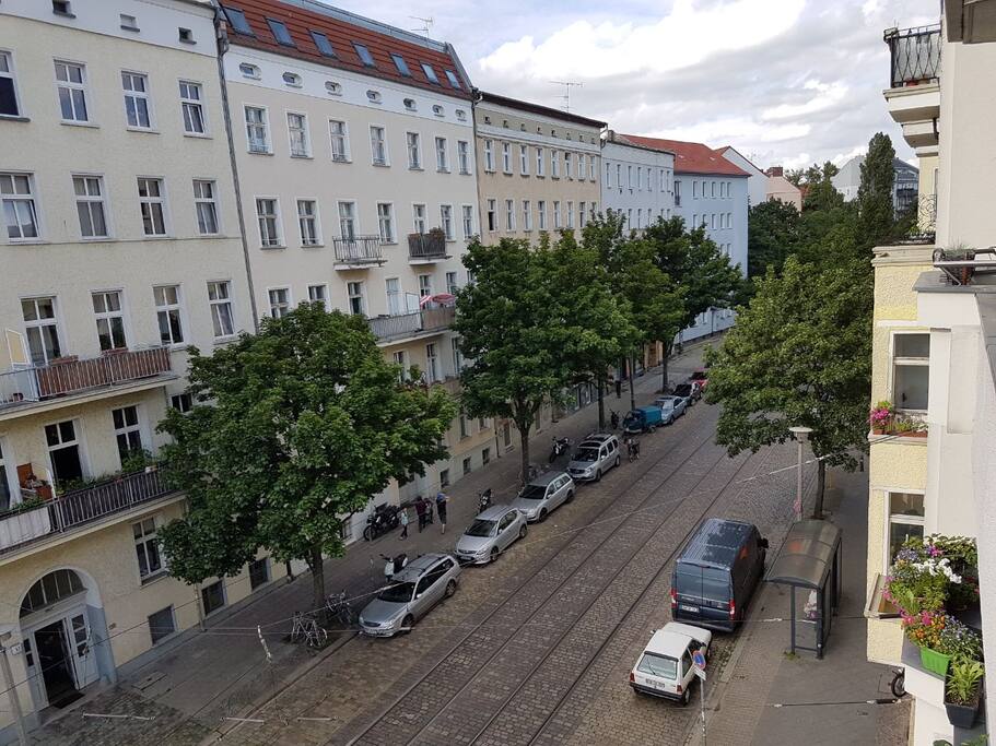 view to the east