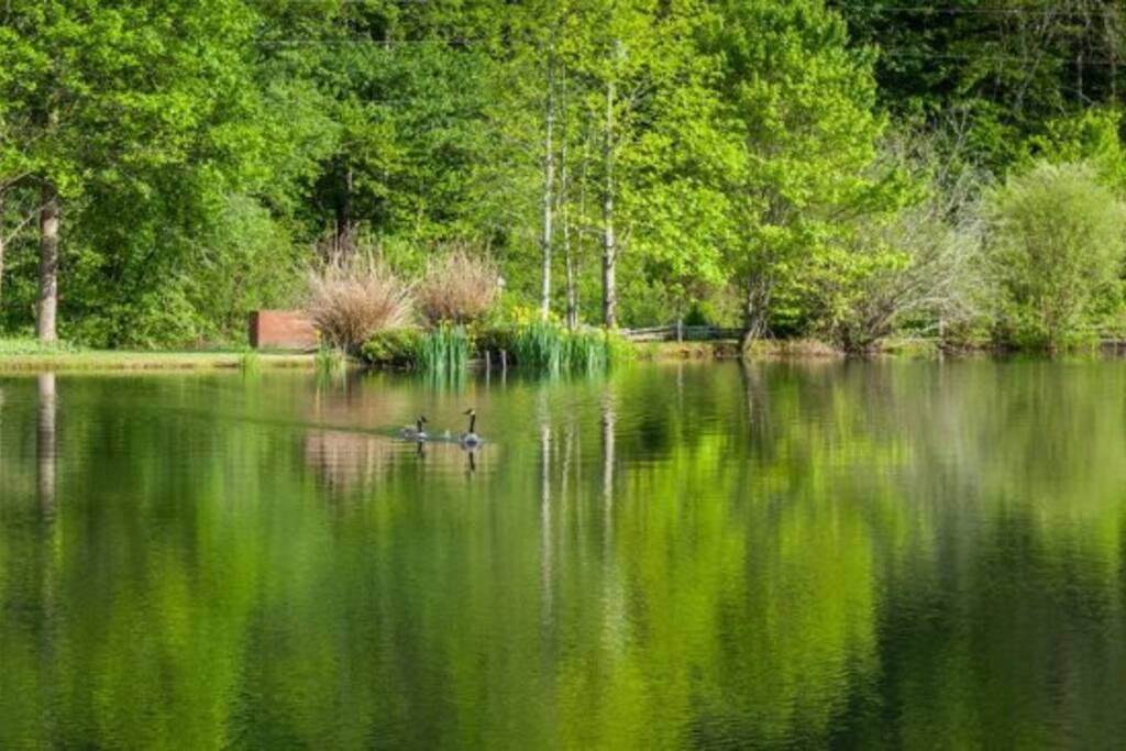 Beautiful lake setting at All Aboard