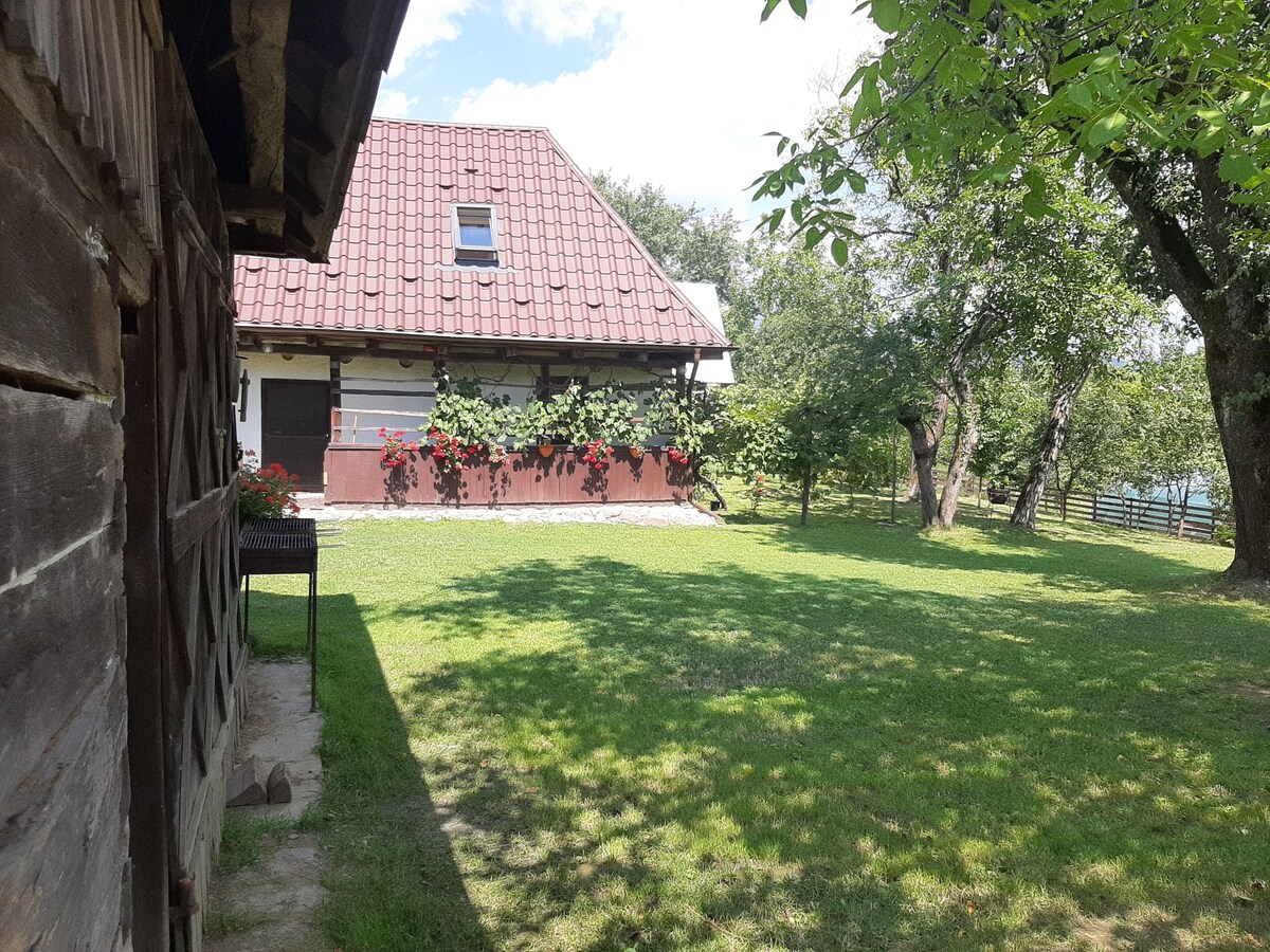 A traditional wooden house with a sloped roof is framed by lush green grass and flowering plants along the front. Trees provide shade in the yard, contributing to a serene outdoor environment. The farmhouse features large windows and a welcoming porch, adding to its rustic charm.
