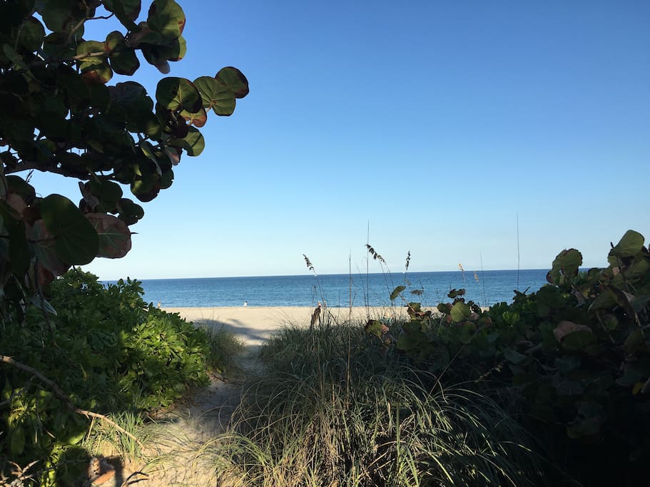 This is the walk up to the beach