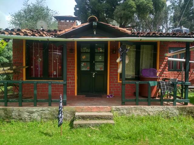 Mindy House !
