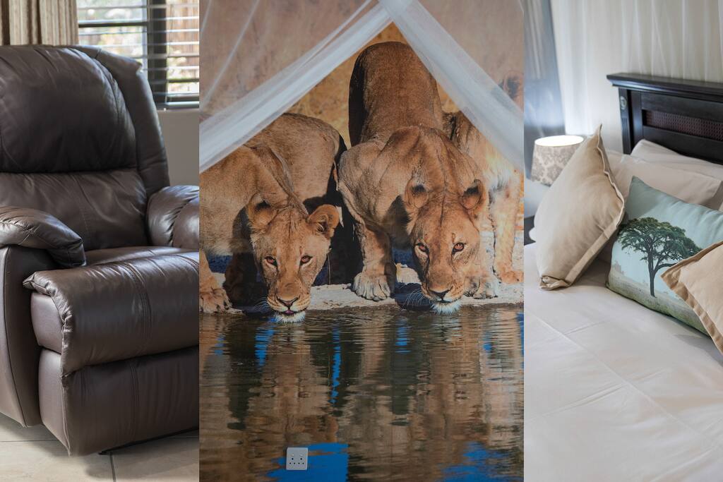Twiga Tower Lion room