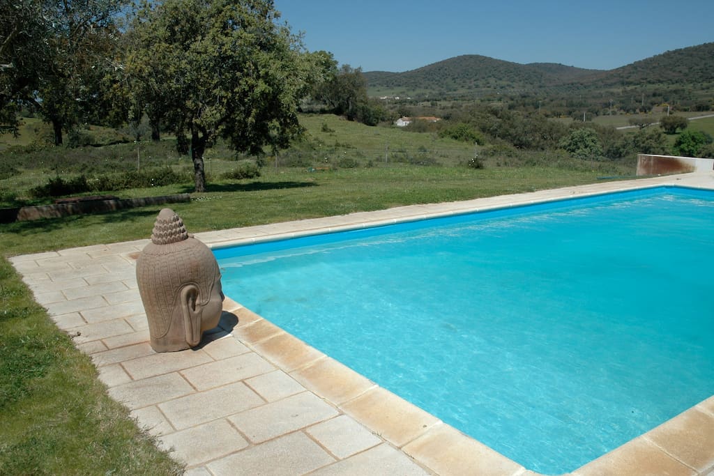 A pool with a view