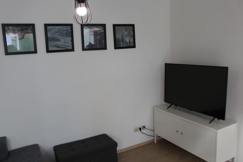Fernsehereinheit / TV area