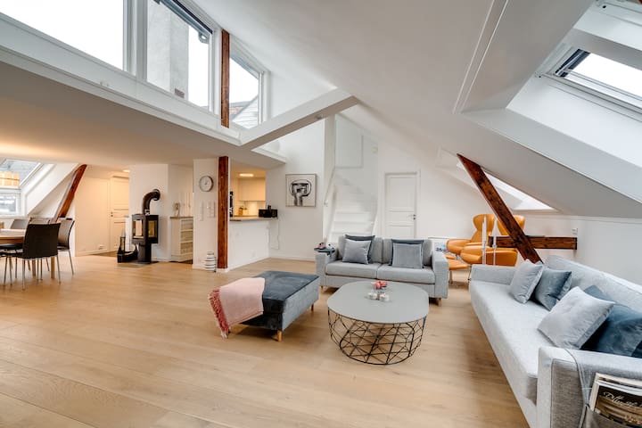 Penthouse, In the heart of Oslo City Centre