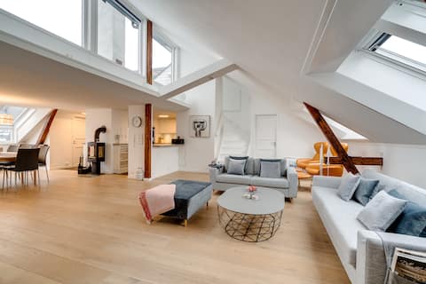 Penthouse, In the heart of Oslo City Centre