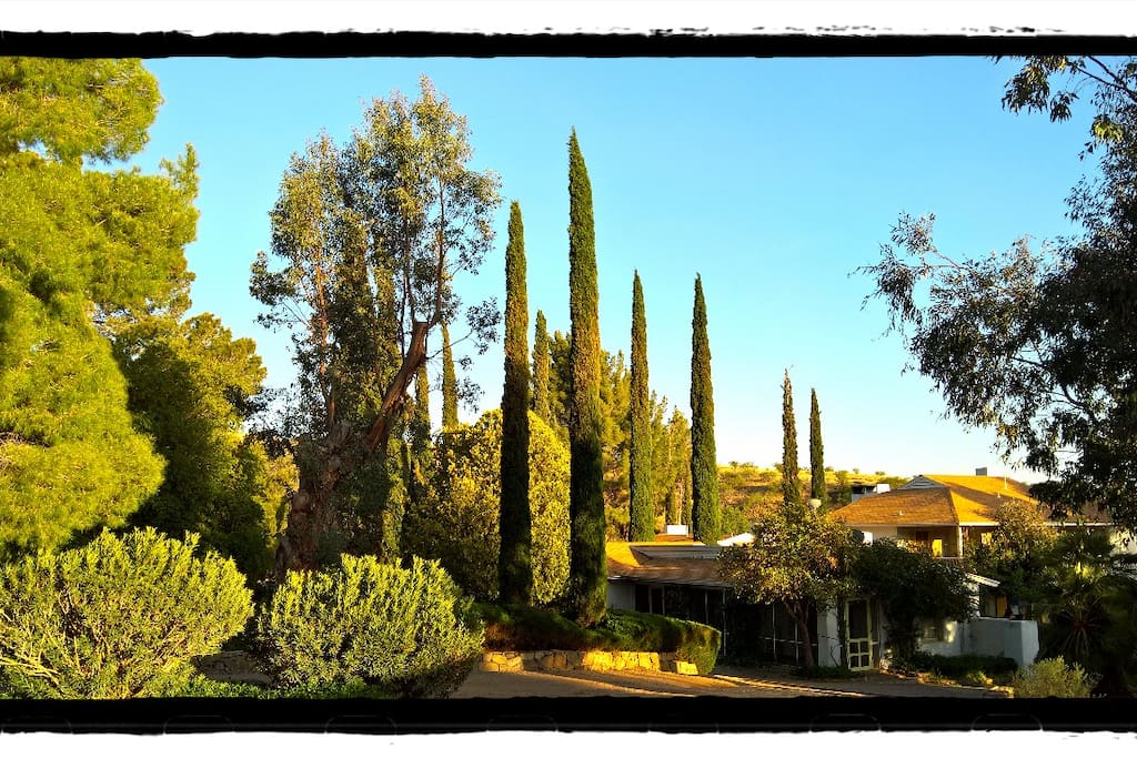 The grounds of the Oak Bar Ranch