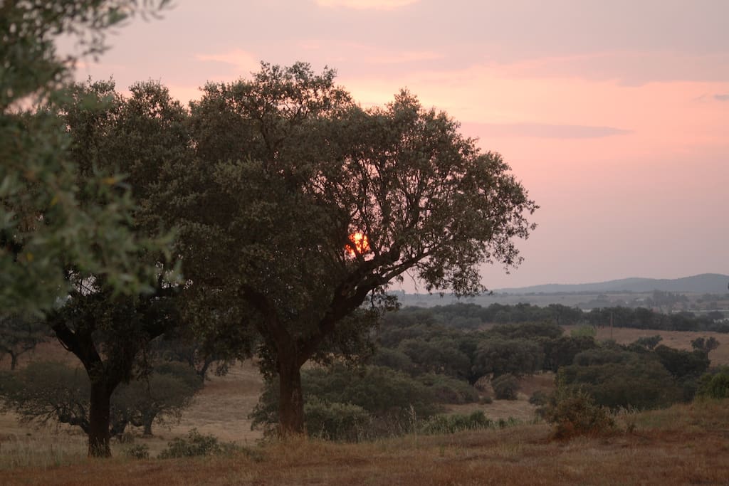 Another perfect sunset from Monte do Telheiro