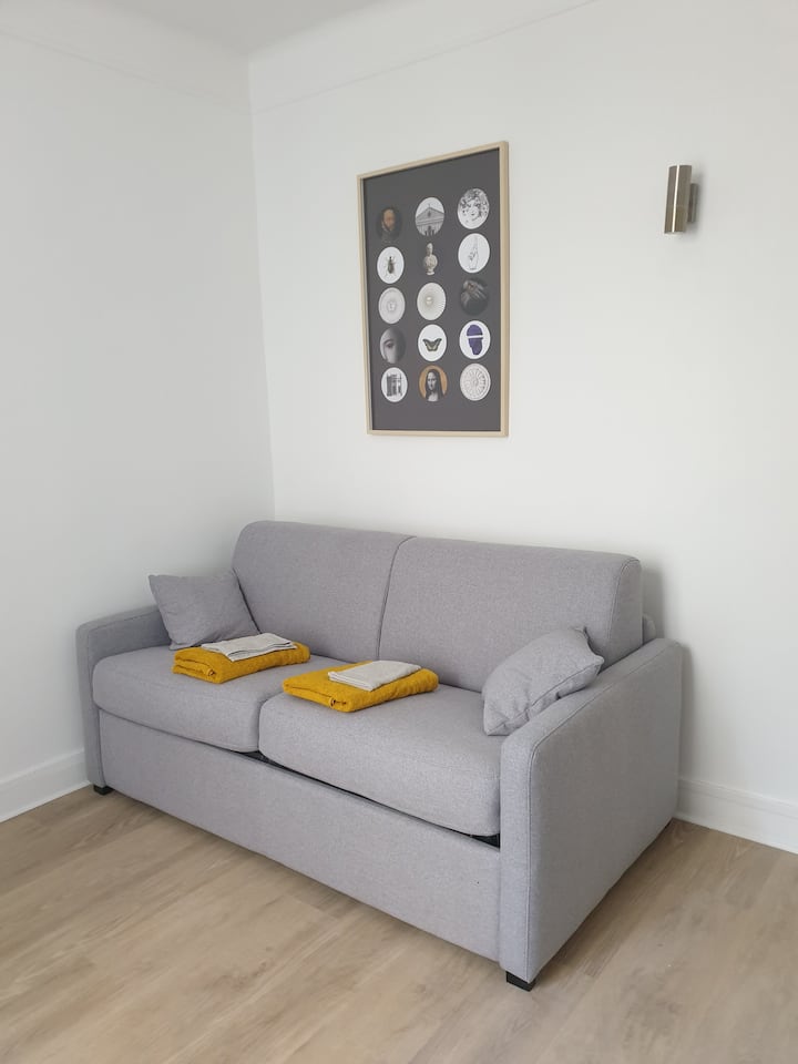 غرفة استوديو "صفراء" بسرير أريكة (سرير يومي، مرتبة ثابتة 140 × 190)، دش ومغسلة 