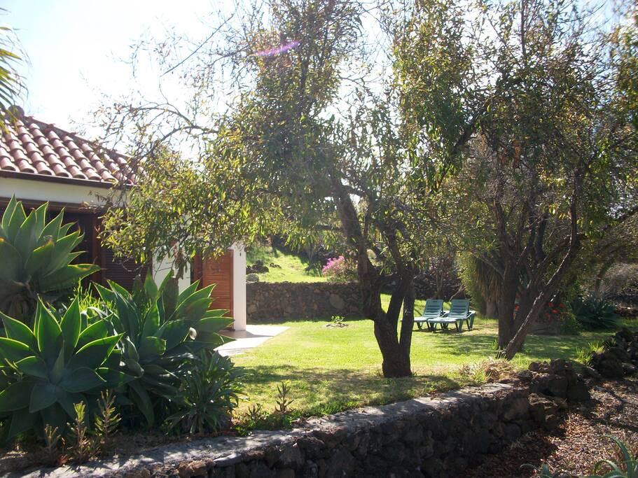 Jardin