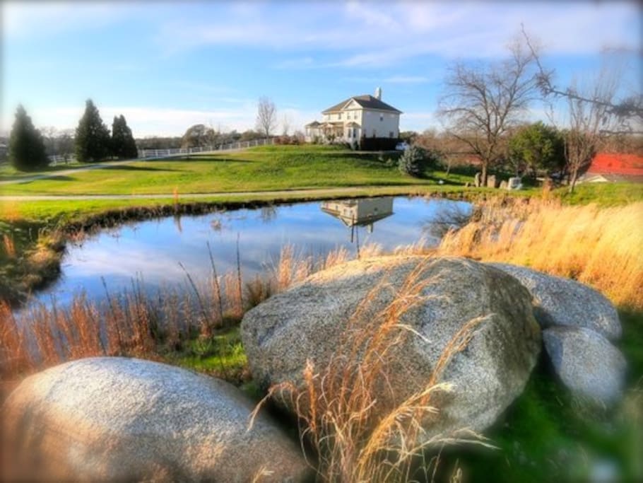 Main House overlooking the pond