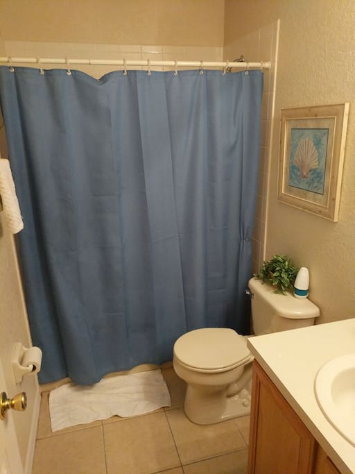 Shared Bathroom with son.