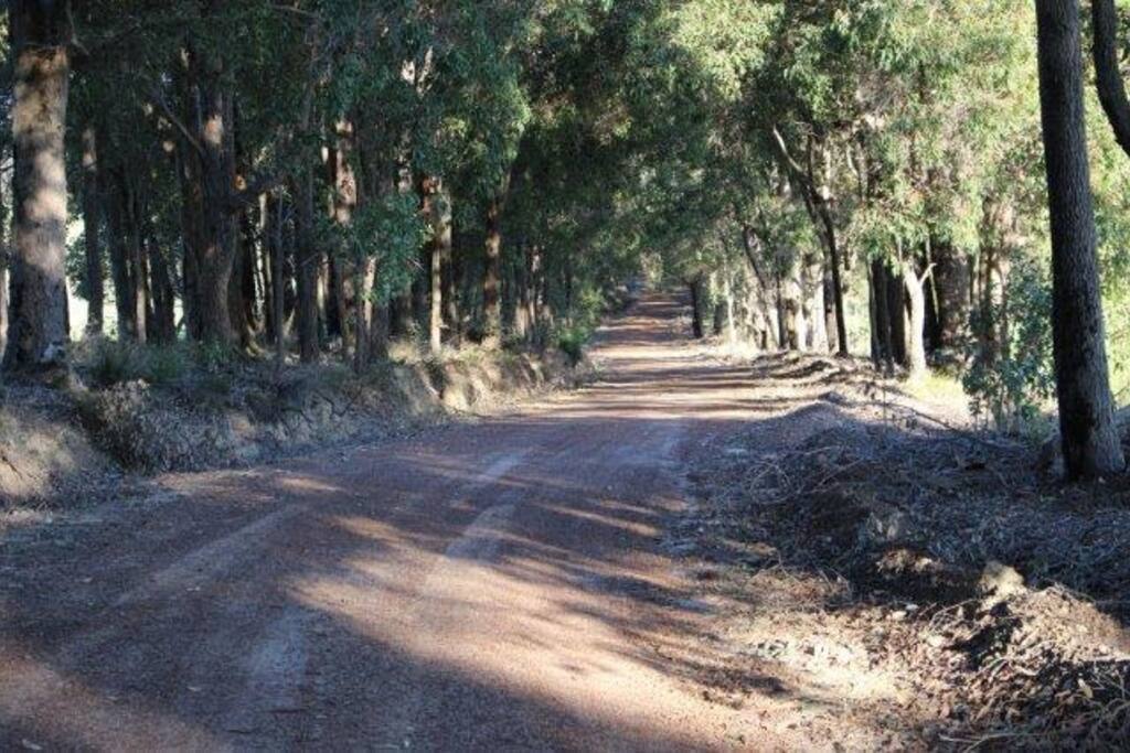 Our Country Lane, you're nearly there!