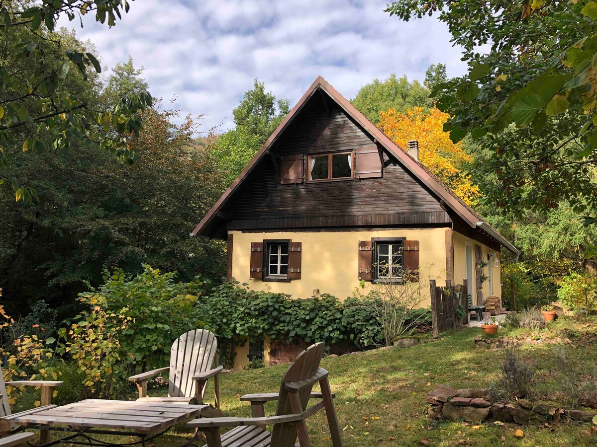 A charming country house features a mix of wooden and yellow exterior, framed by lush greenery and fall foliage. Two distinct stories are visible, with multiple windows adorned with shutters. A welcoming outdoor sitting area with wooden chairs is set among the garden.