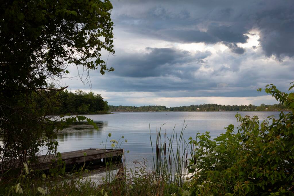 Another Authentic Organic Experience! Cottages for Rent in Battersea