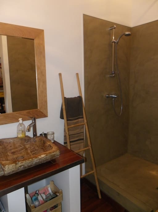 Salle de bain dans chambre.