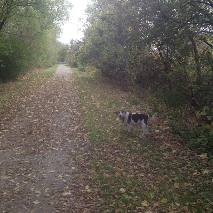 Cambridge to Paris Rail Trail