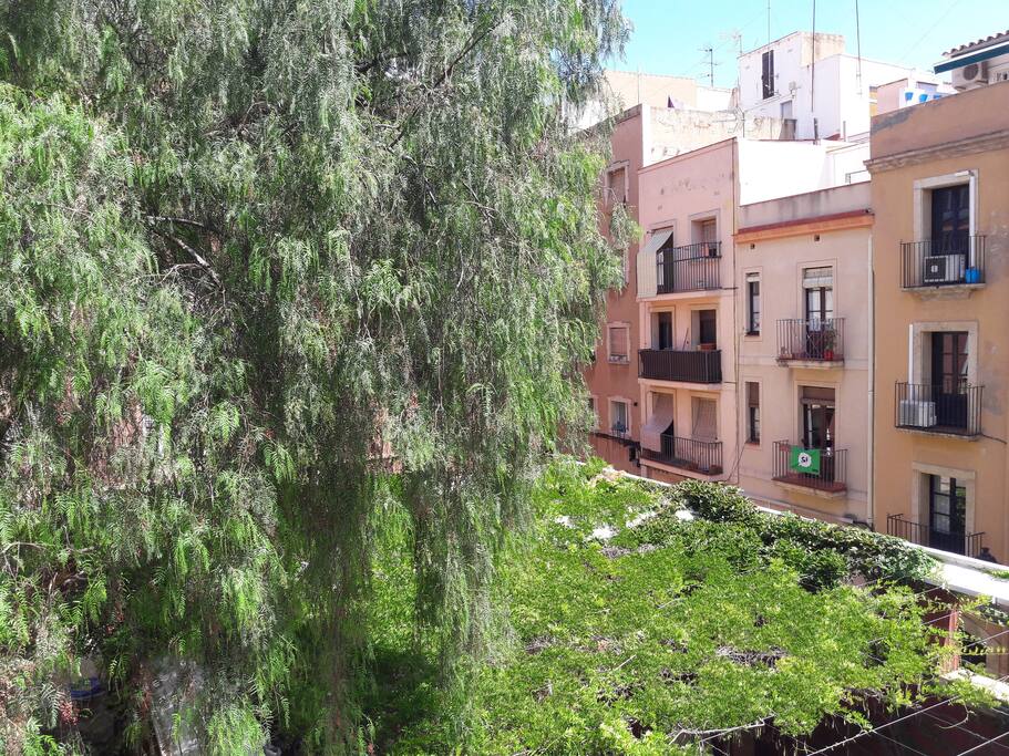 Otra vista desde el balcón