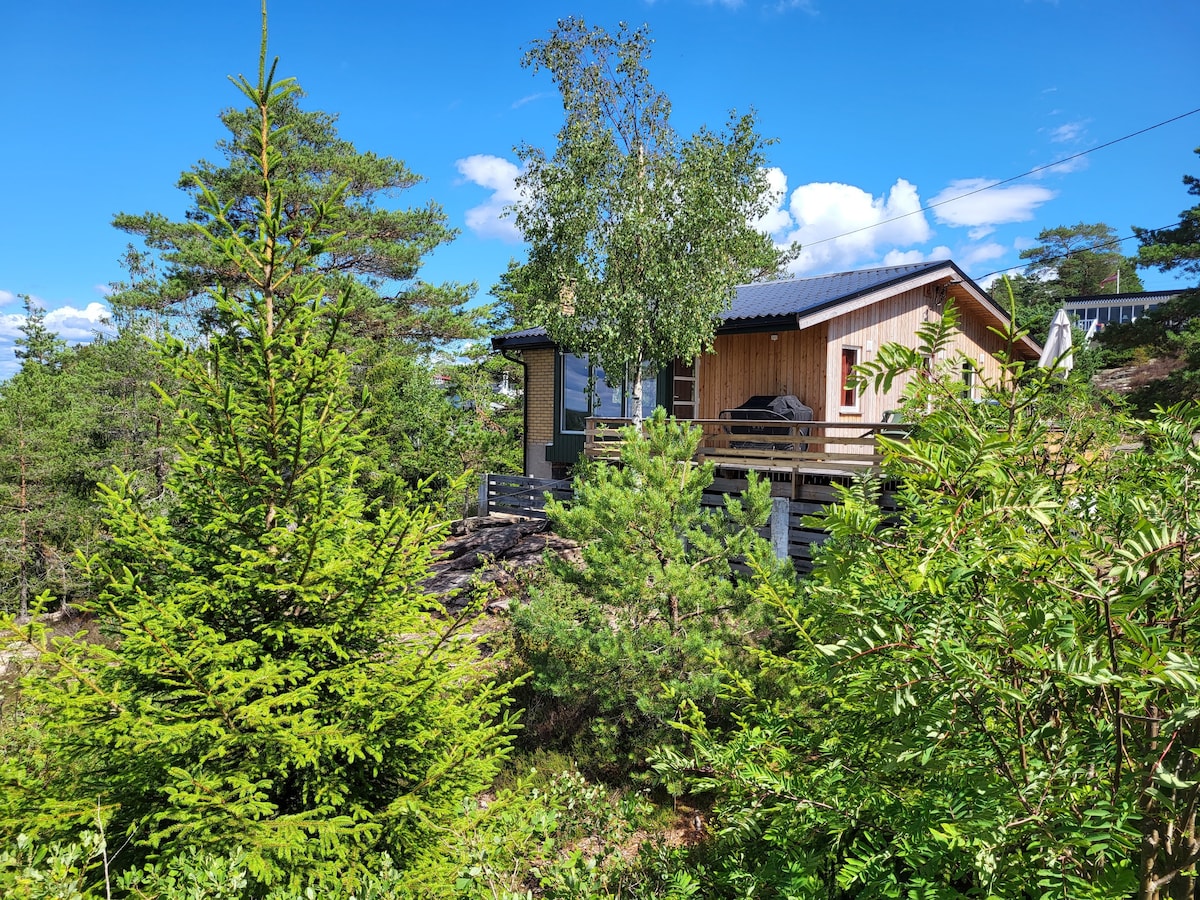 The cabin is nestled among green trees, showcasing a wooden exterior and a partially covered porch. Sunlight filters through the branches, creating a serene atmosphere. The surrounding vegetation includes lush pine trees, contributing to the cabin's sense of seclusion within nature.