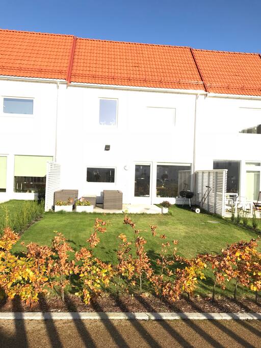 Garden area