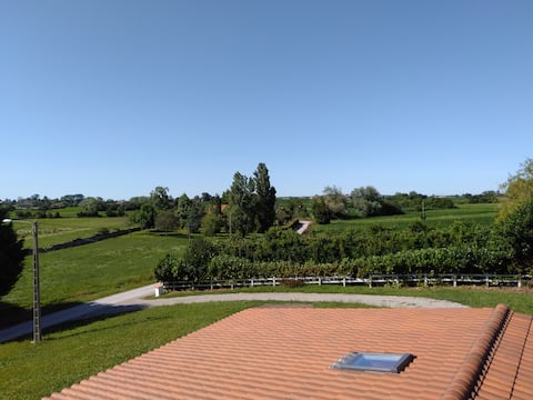 Airbnb con mejor rendimiento: A charming little house in the countryside, near Somo/Loredo beaches en Ribamontán Al Mar