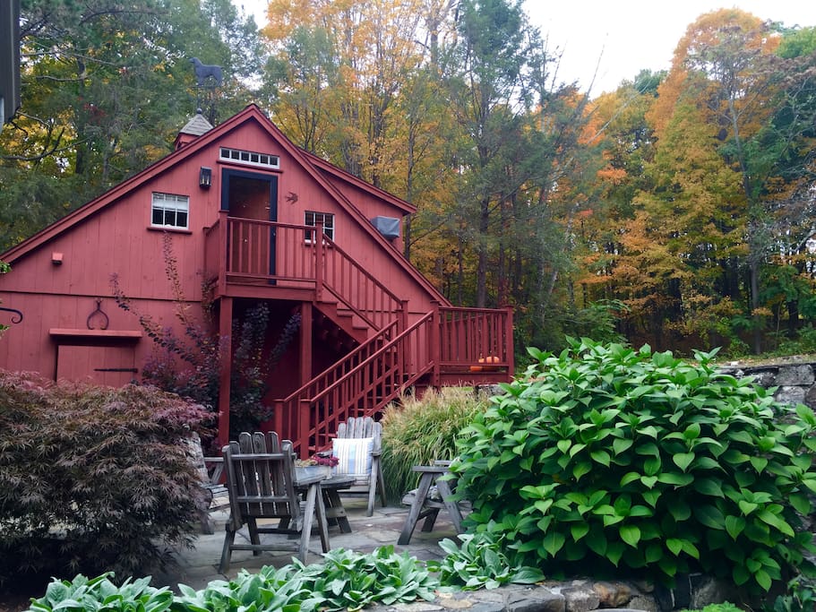 Fall Colors