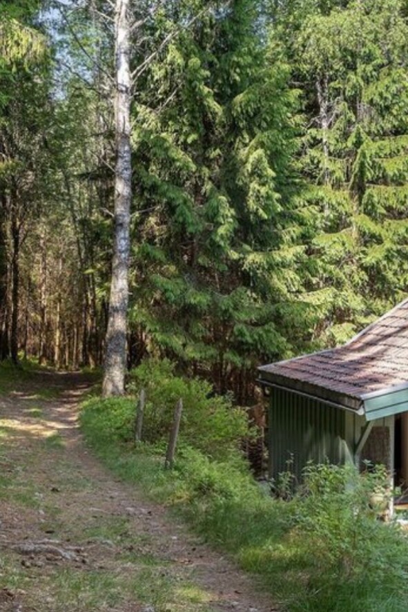 A winding path is surrounded by lush greenery leading towards a cozy cabin nestled among tall trees. The cabin features a subtle green exterior with a sloped roof, blending into the natural landscape.