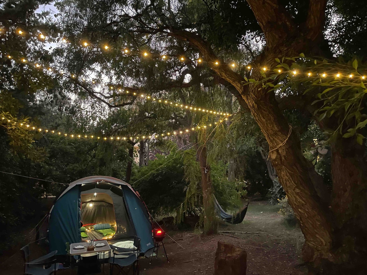 A campsite is set up among trees, featuring a large tent illuminated by string lights above. A small table and chairs are arranged nearby, while a hammock hangs between two trees, creating a cozy outdoor atmosphere.
