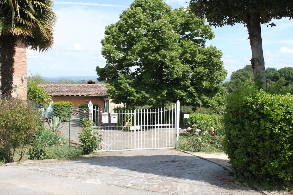 ingresso