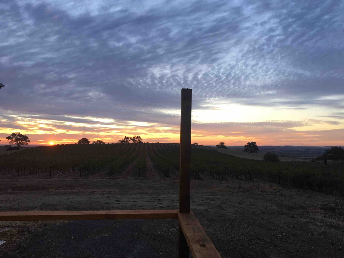 Vineyard Views