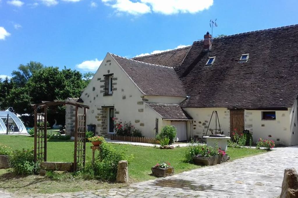 Beau jardin fleuri