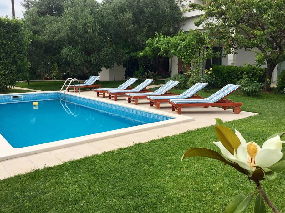 View on the private pool with new wooden loungers in front of the apartment