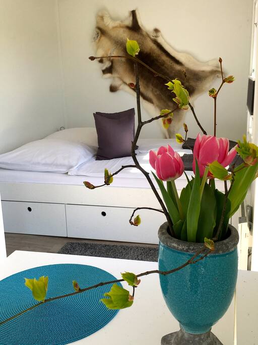 IMPRESSIONEN "INDOOR"