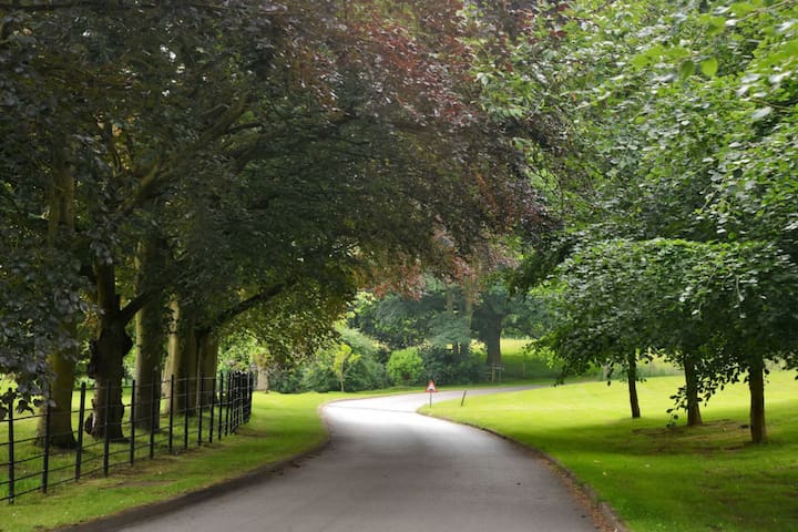Large Room Set In The Grounds Of A Stately Home