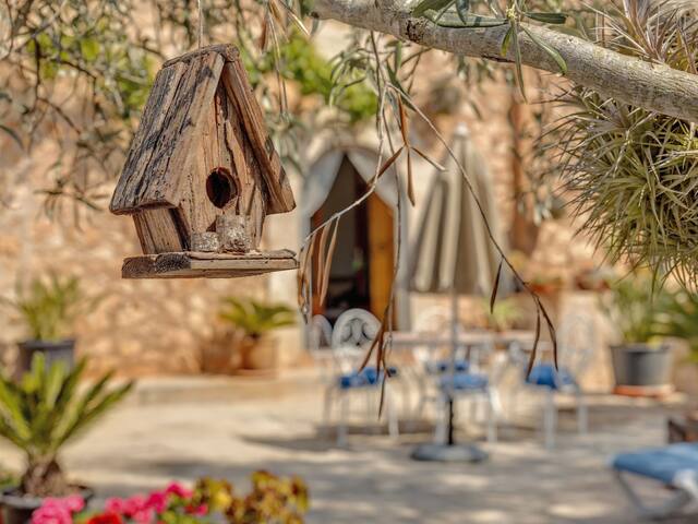 Finca Sa Punta gallery image 5