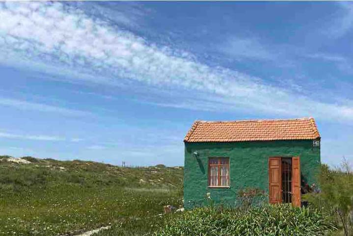 Entire home with 4 bedrooms in Vila Nova de Gaia - Green Dunes House
