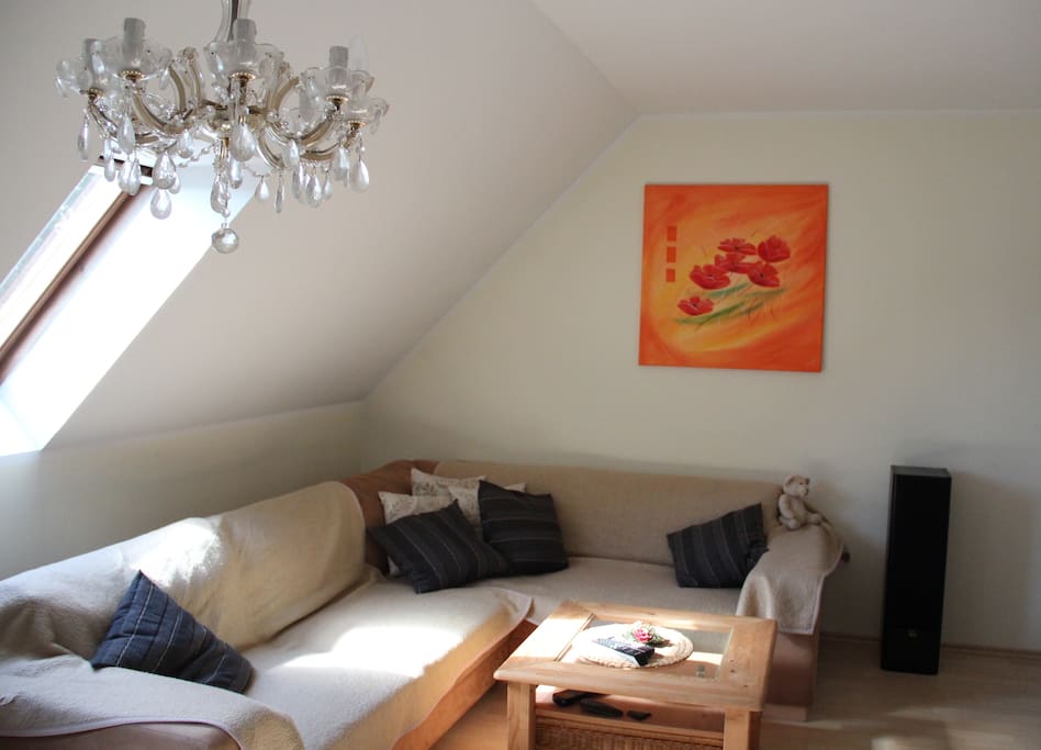 großzügiges Wohnzimmer