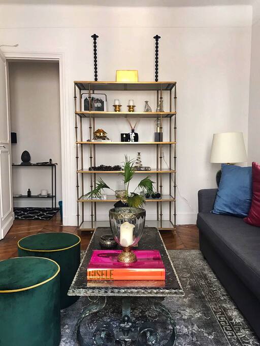 Stylish living room leading into hallway and the remaining part of the apartment
