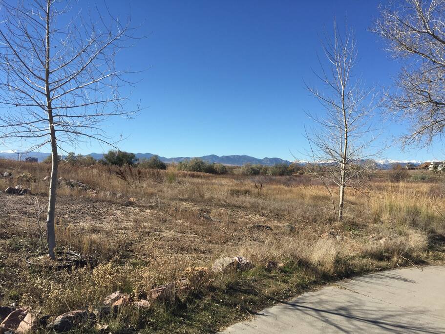 This was taken from the dry creek trailhead. It is about 200 yards from carriage house.